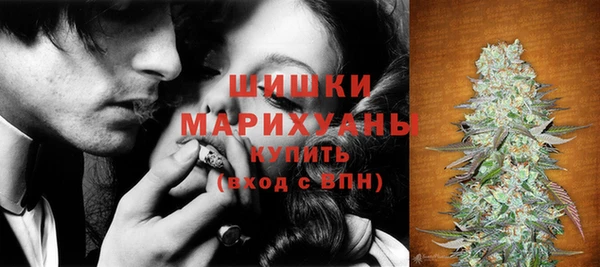jwh Пересвет